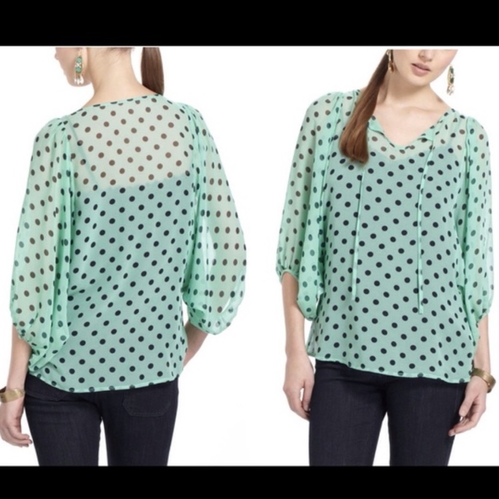 Hi There Karen Walker Anthropologie Mint Green Polka Dot Blouse 2